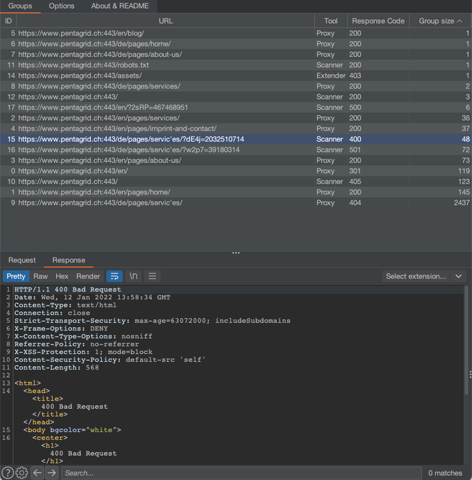 Screenshot of the Response Overview Burp plugin